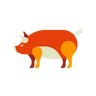 Pig