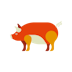 Pig Chinese Zodiac Animal Sign Icon