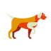 Dog Chinese Zodiac Animal Sign Icon