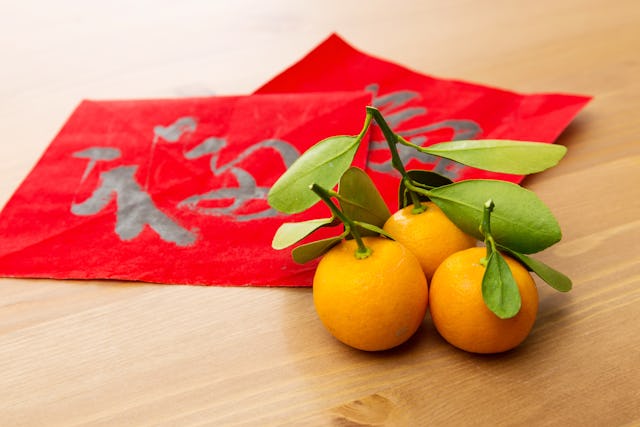 Chinese New Year kumquats and red pockets
