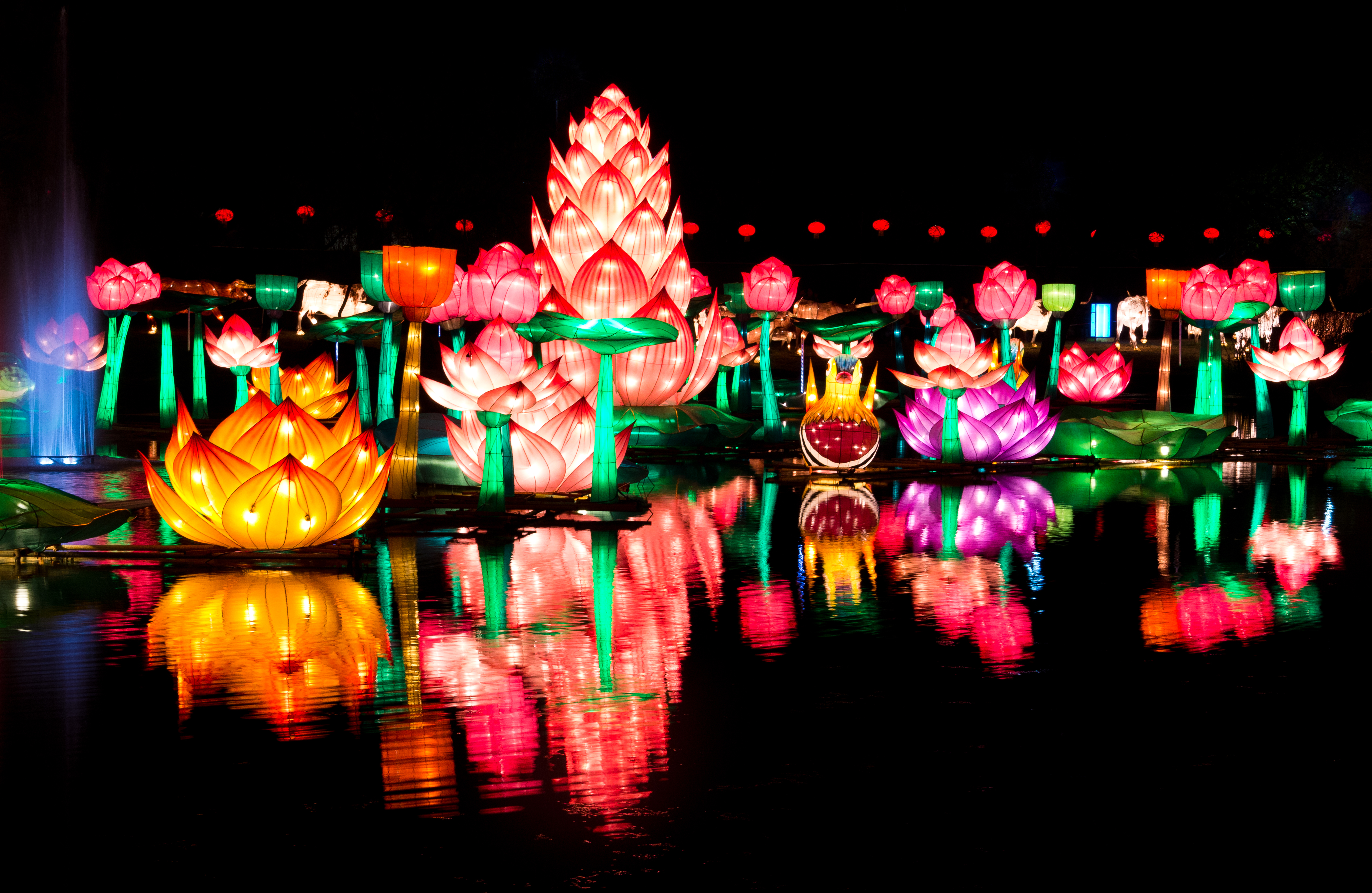 marysville water lantern festival