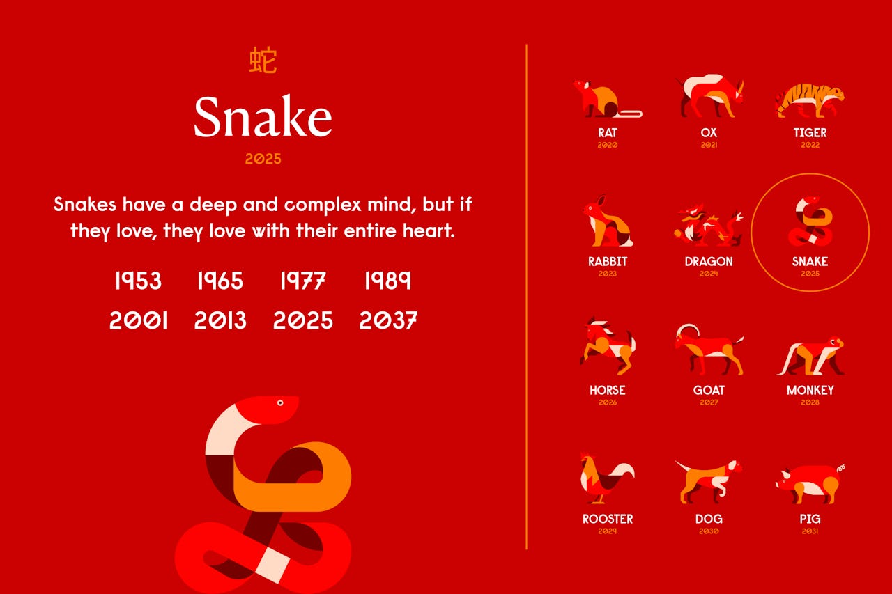 Year of the Snake Chinese Zodiac, Personality, Horoscope (2024)